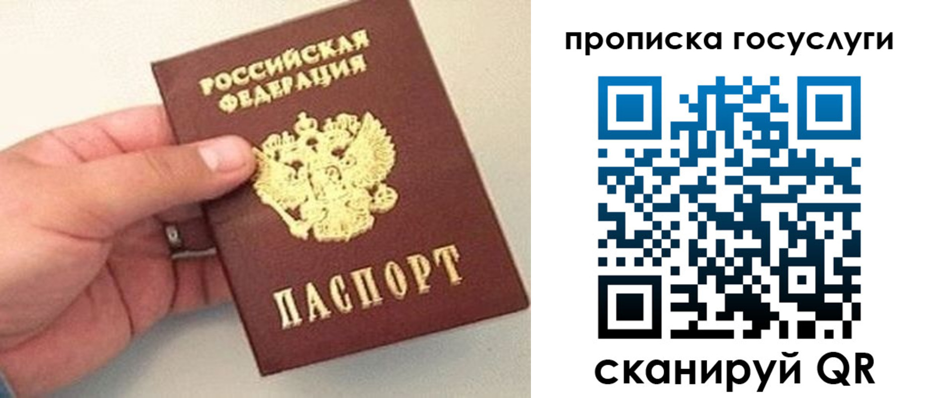 где прописаться в Калининградской области